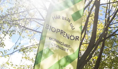 En grön beachflagga med texten "Här blir du bioprenör".