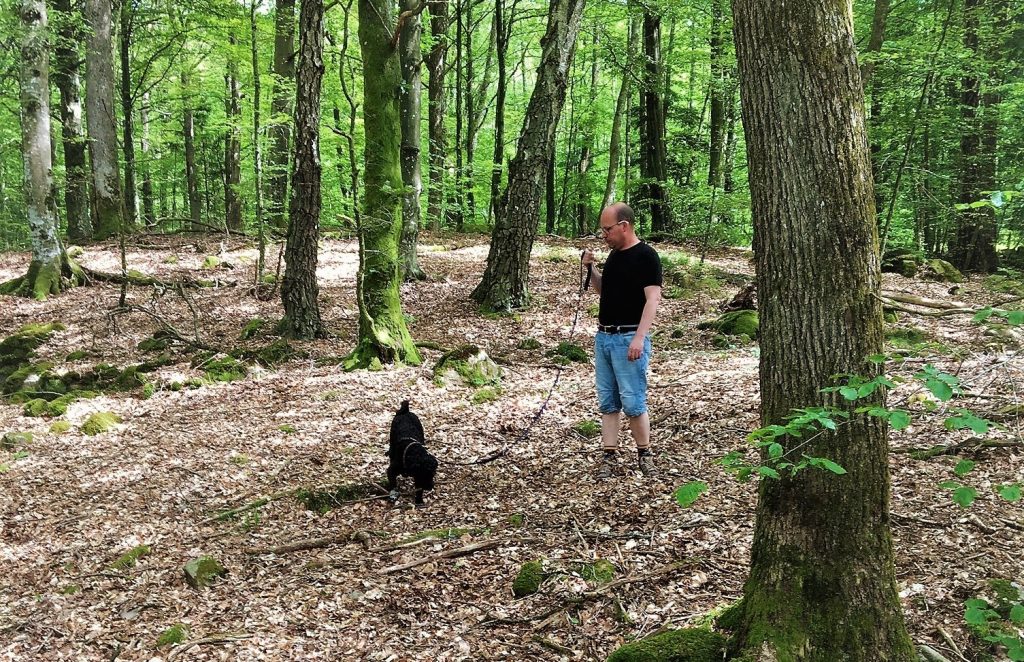 Man på promenad med kopplad hund i Plönningeskogen