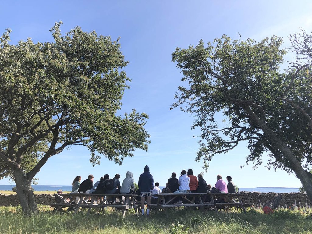 En stor grupp människor sitter på bänkar under två stora lövträd och tittar ut mot havet och horisonten.