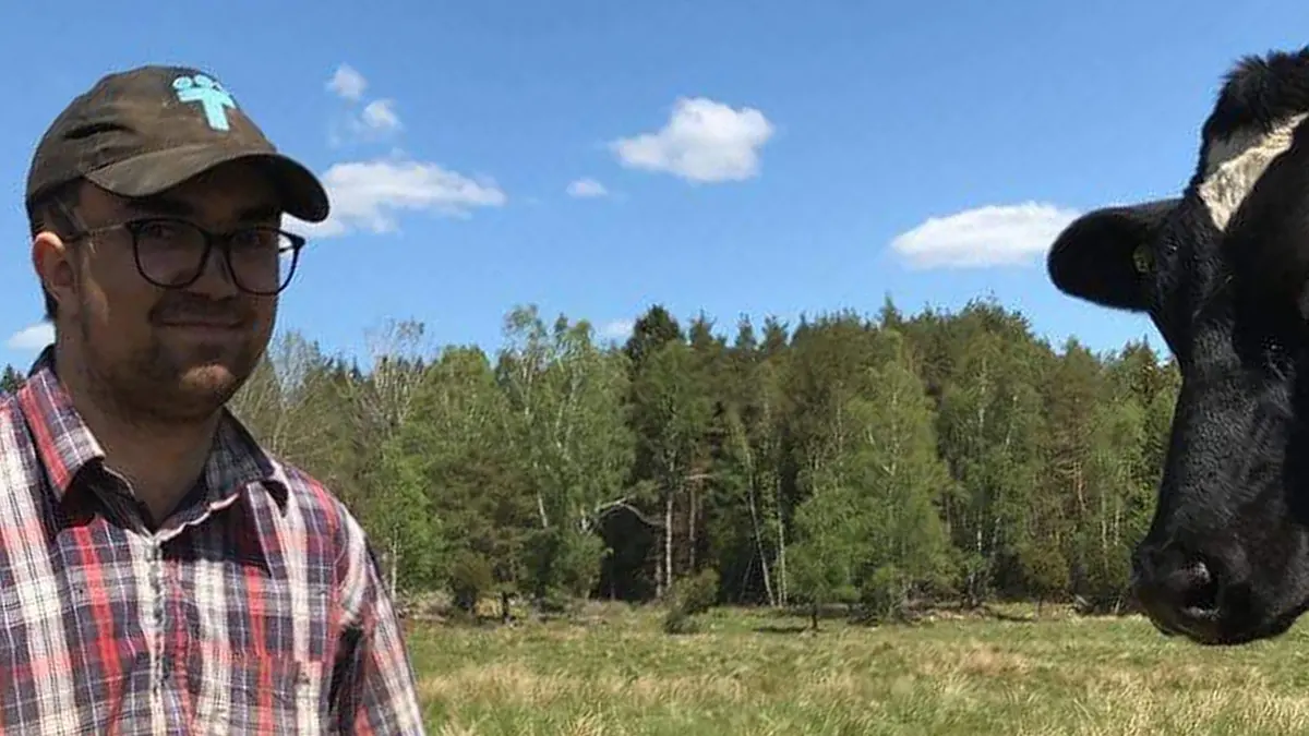 En ung man står framför en ko i en hage.